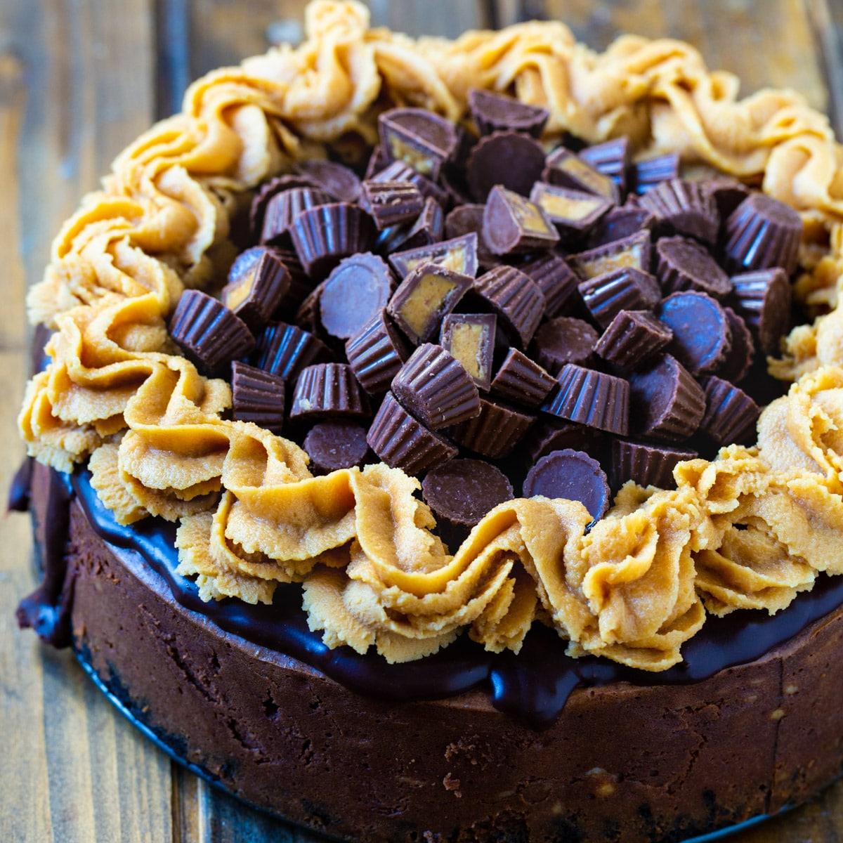 Chocolate Peanut Butter Cup Cheesecake