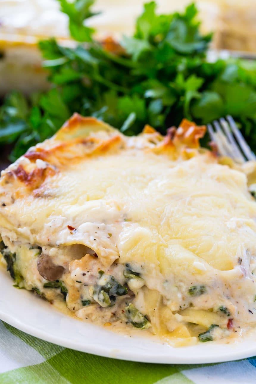 Chicken Lasagna with a creamy white sauce