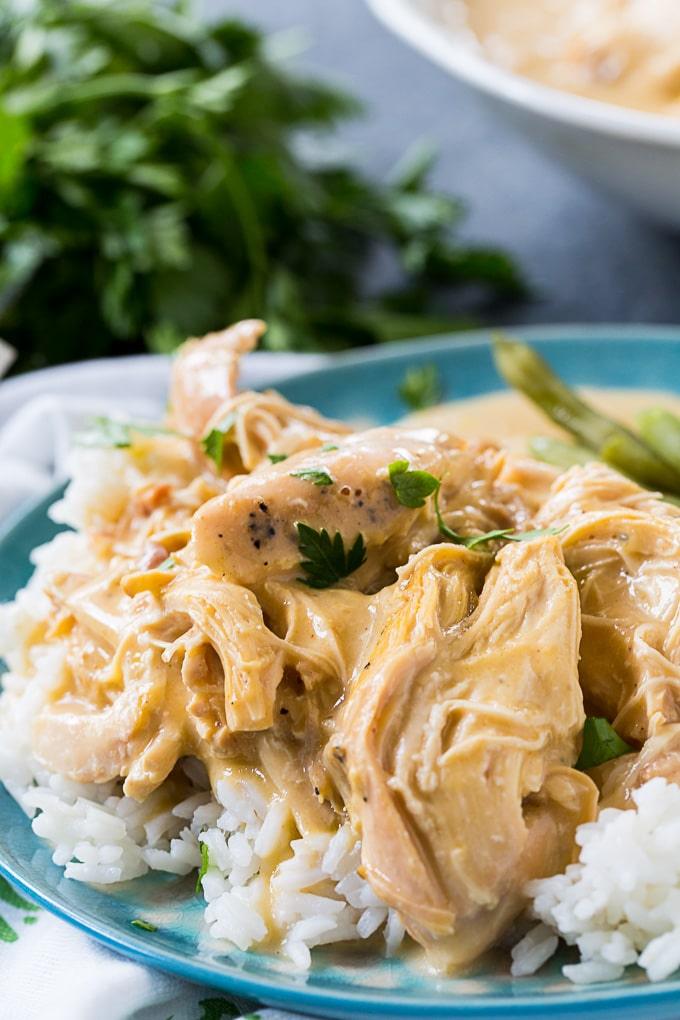 Crock Pot Chicken and Gravy