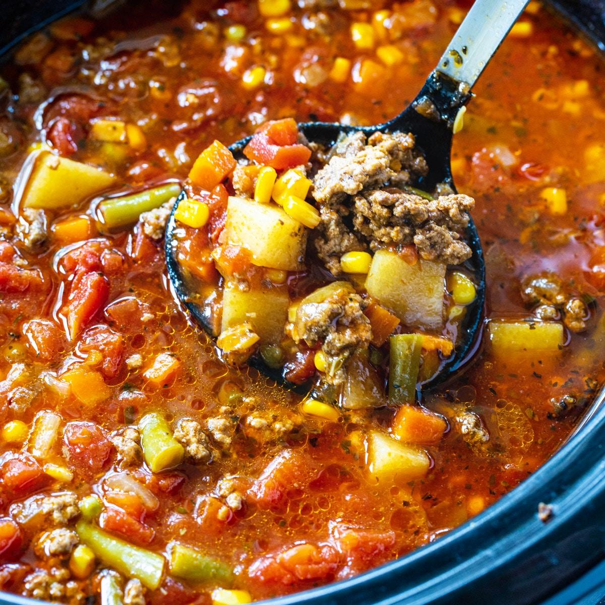 Crock Pot Spicy Vegetable Beef Soup