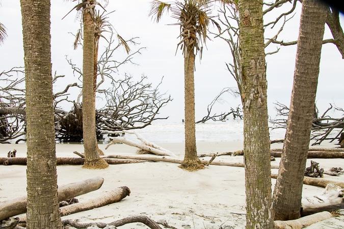 Hunting Island State Park