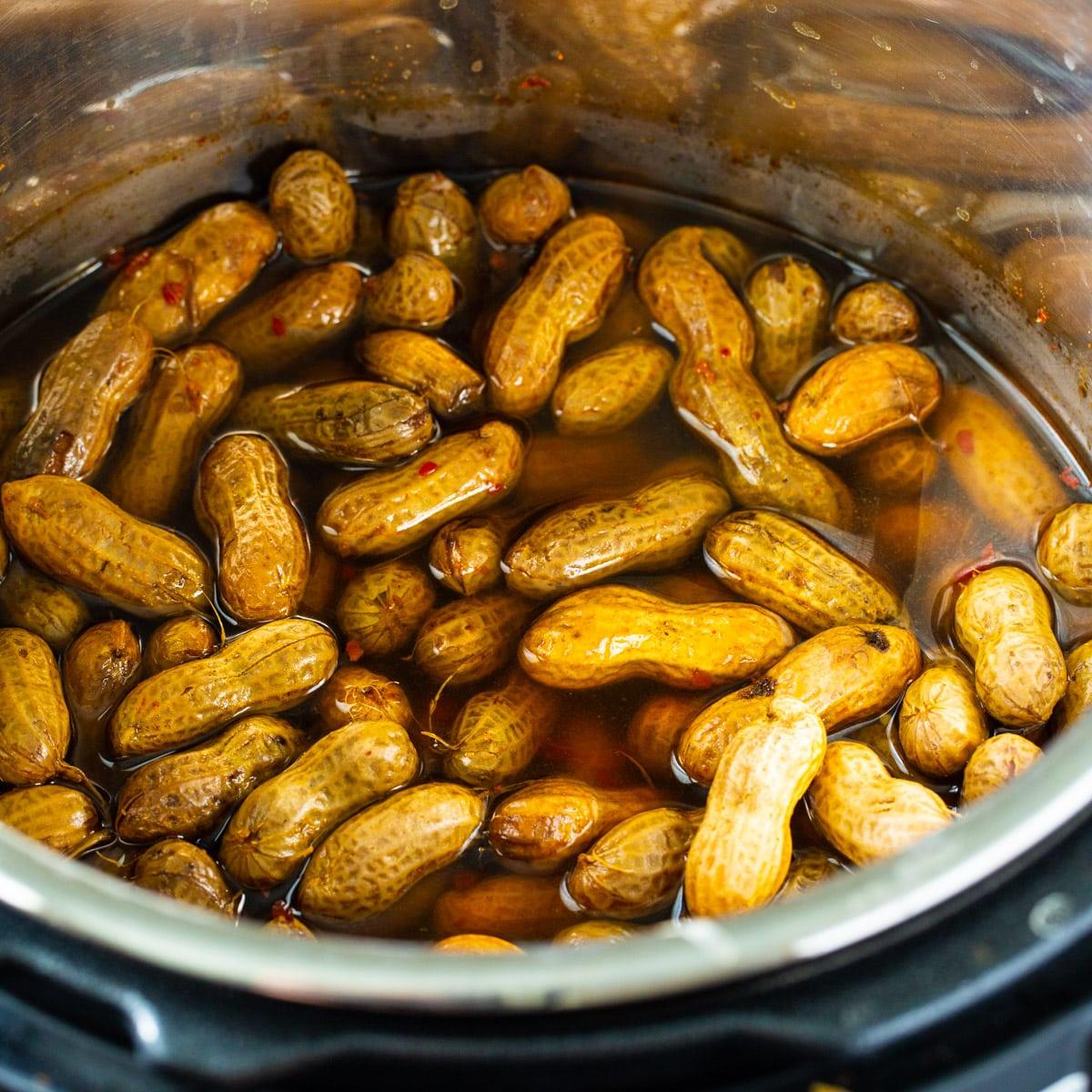 Instant Pot Spicy Boiled Peanuts