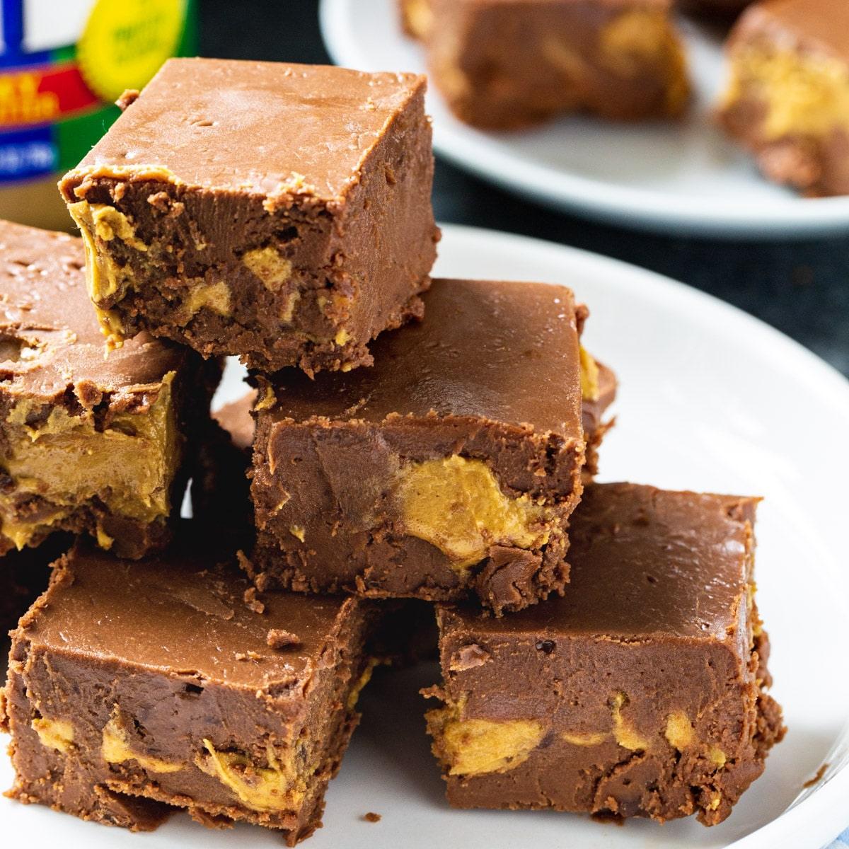 Peanut Butter and Chocolate Fudge