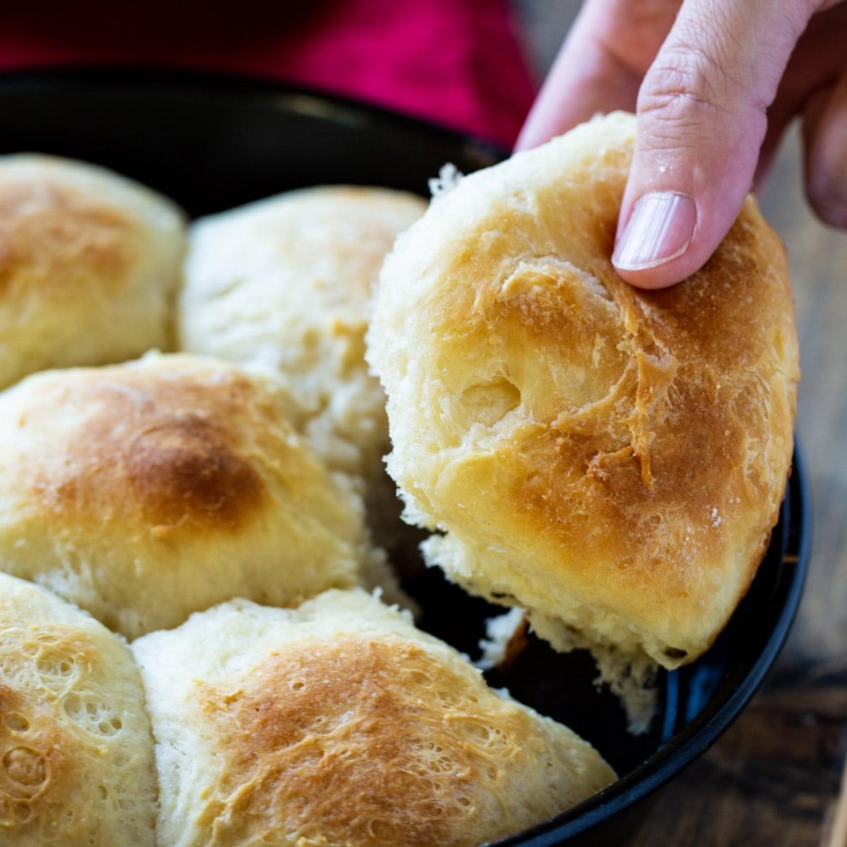 Potato Rolls Recipe