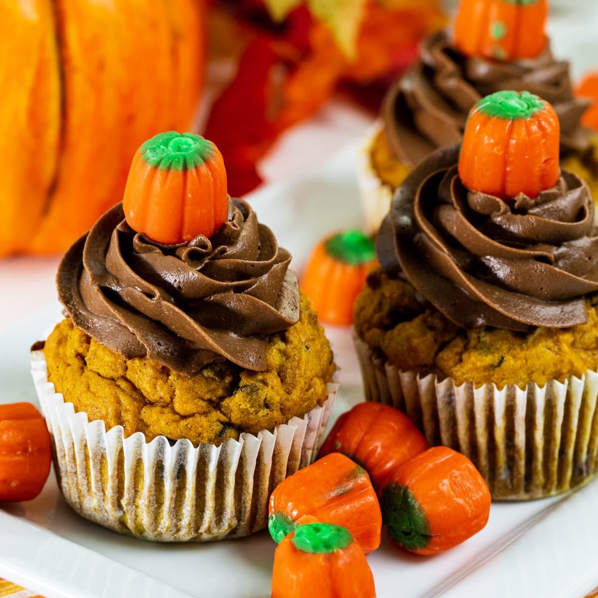 Pumpkin Chocolate Chip Cupcakes with Chocolate Frosting