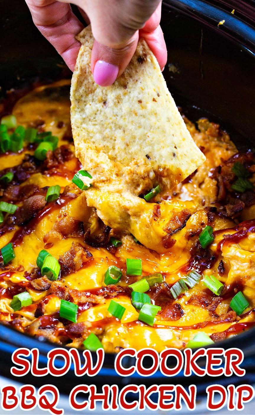 Chip getting dipped in BBQ Chicken Dip.