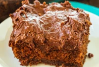 Velvet Midnight Chocolate Cake