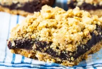 Decadent Chocolate Fudge Oat Bars