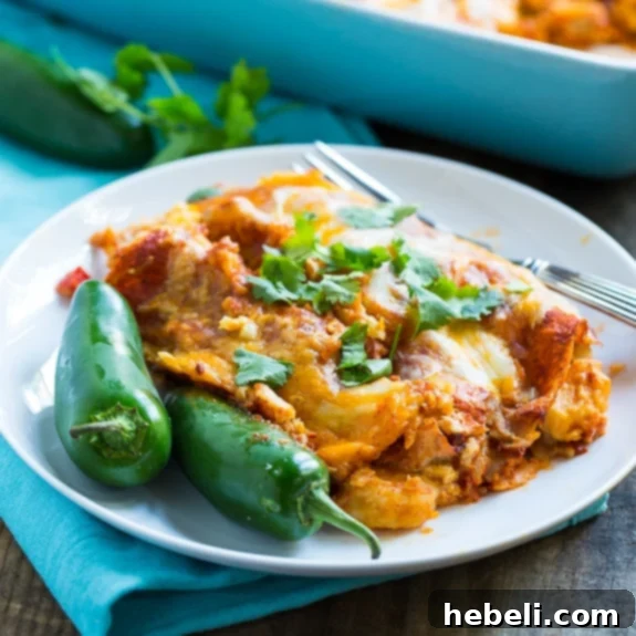 Delicious baked cheesy and spicy Shrimp Enchiladas in a casserole dish