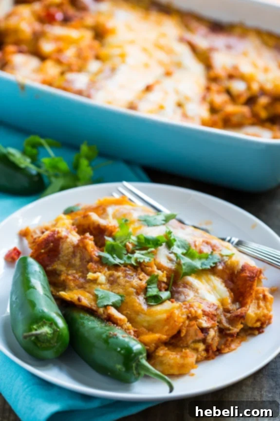 Close-up of golden-brown Shrimp Enchiladas with melted cheese, fresh from the oven