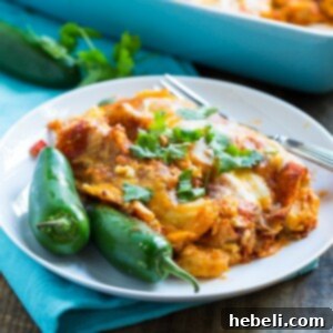 A serving of cheesy, spicy, and delicious Shrimp Enchiladas