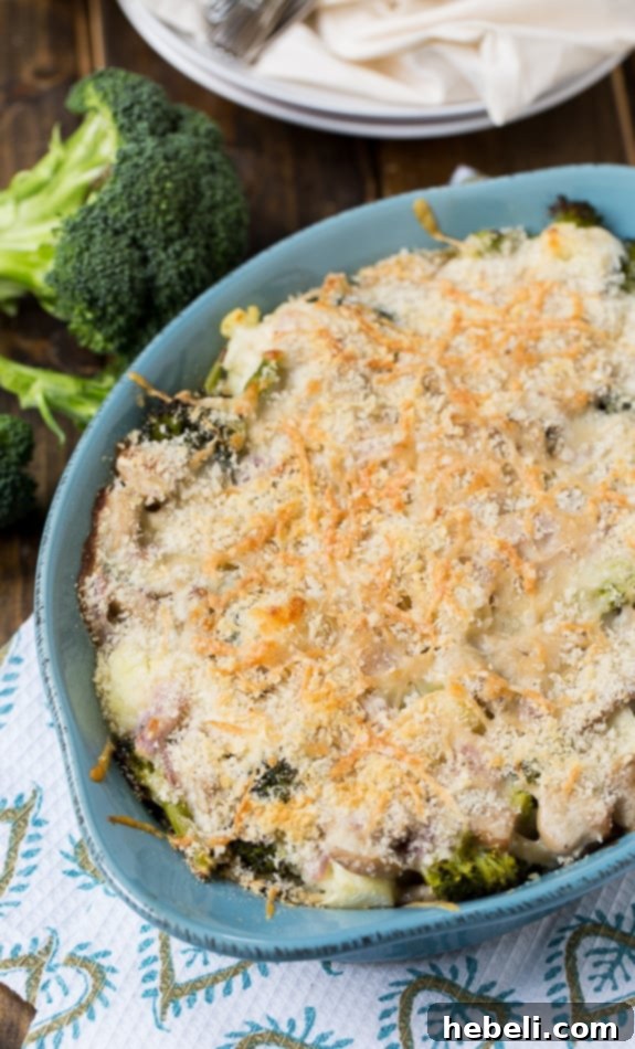 Comforting Broccoli Cauliflower Tetrazzini 3 Broccoli and Cauliflower Tetrazzini (vegetarian)