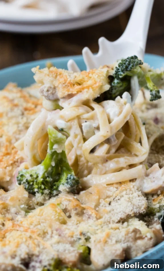 Comforting Broccoli Cauliflower Tetrazzini 4 Broccoli and Cauliflower Tetrazzini (vegetarian)
