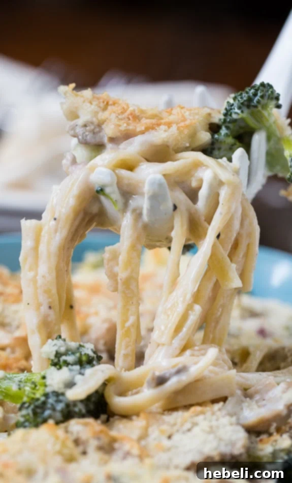 Comforting Broccoli Cauliflower Tetrazzini 6 Broccoli and Cauliflower Tetrazzini (vegetarian)