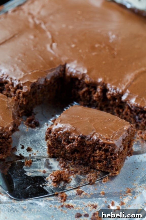 Chocolate Zucchini Sheet Cake - A close-up showing the rich, moist texture of the cake.