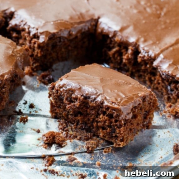 Chocolate Zucchini Sheet Cake - Overhead shot of the completed cake, garnished and ready.