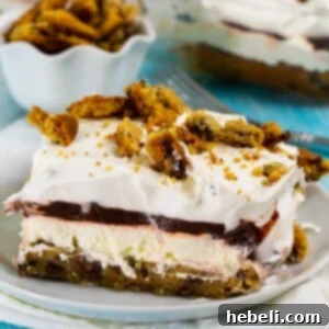 Chocolate Chip Cookie Delight