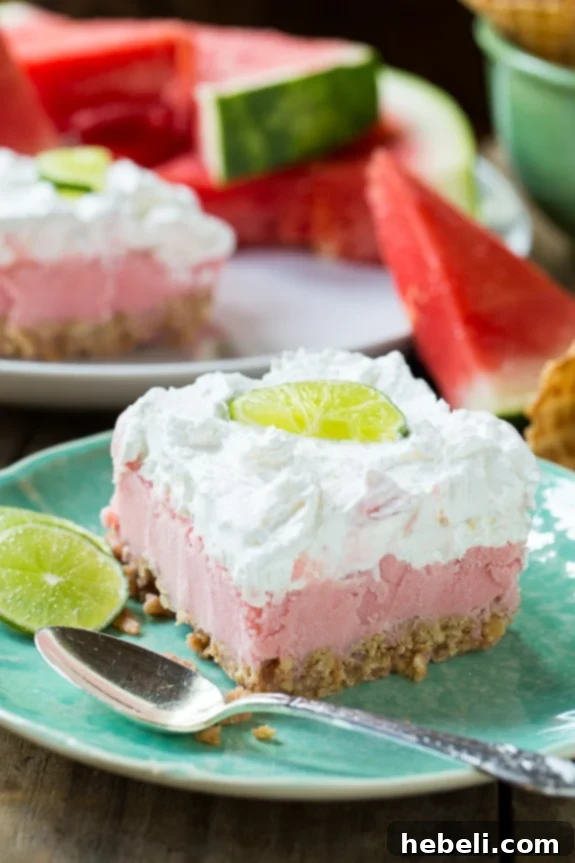 Bowl of freshly prepared watermelon sherbet mixture, vibrant and smooth