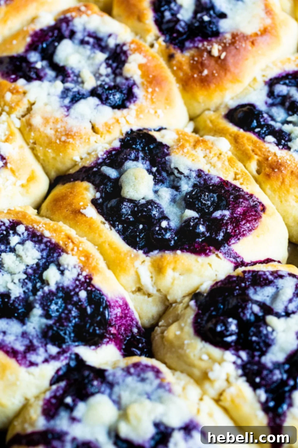 Bursting Blueberry Kolaches 6 Freshly baked Blueberry Kolaches neatly arranged on a baking sheet, ready to be served or stored.
