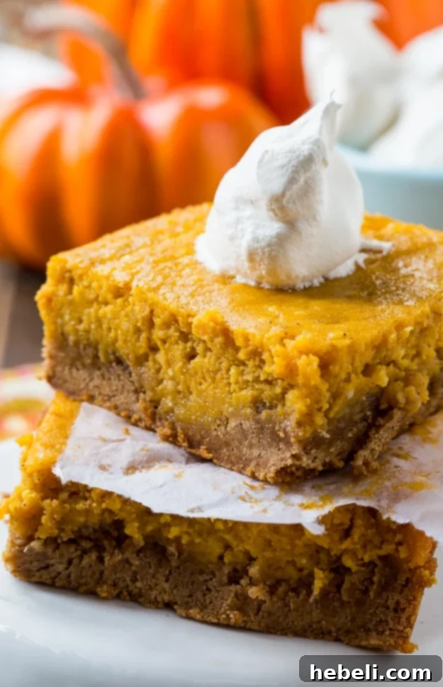 The full Pumpkin Spice Gooey Butter Cake, baked to golden perfection and ready to be sliced and enjoyed.