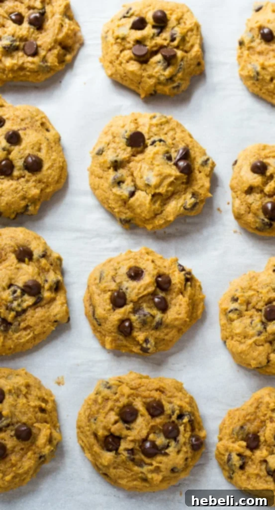 Close-up of a soft pumpkin chocolate chip cookie