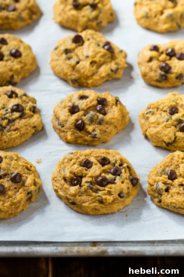 Stack of Soft Pumpkin Chocolate Chip Cookies