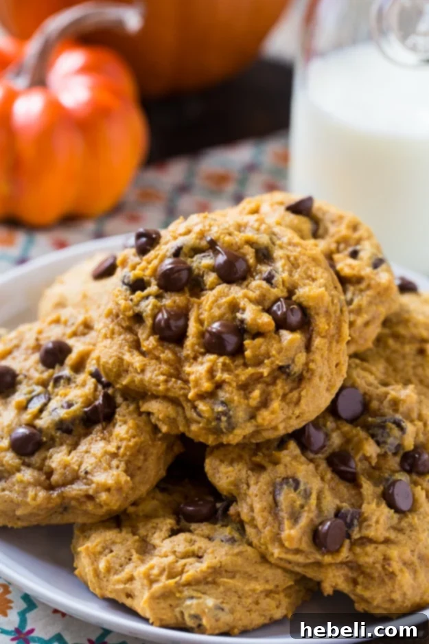 Soft Pumpkin Chocolate Chip Cookies on a plate