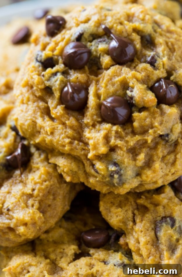 Soft Pumpkin Chocolate Chip Cookies with a bite taken