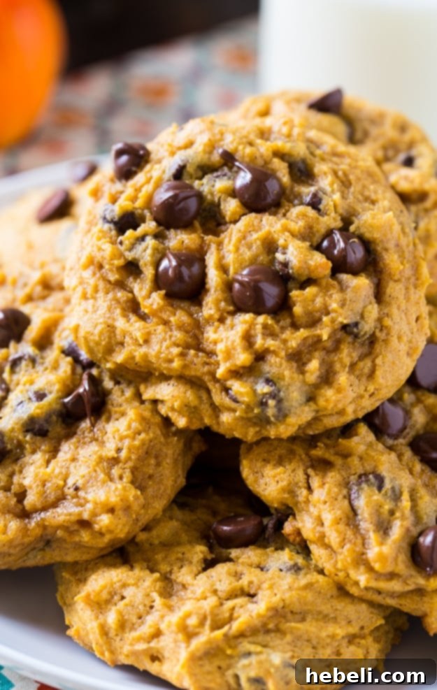 Soft Pumpkin Chocolate Chip Cookies on a rustic wooden surface