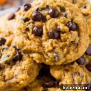 Soft Pumpkin Chocolate Chip Cookies