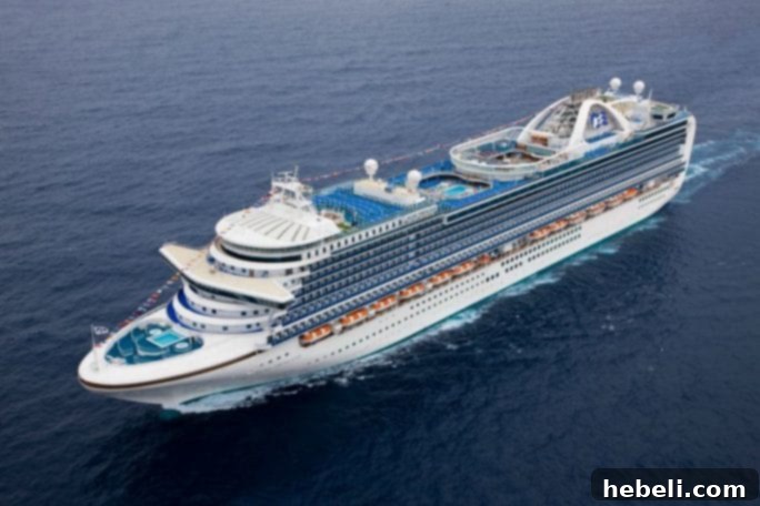 Princess Cruises ship at sea