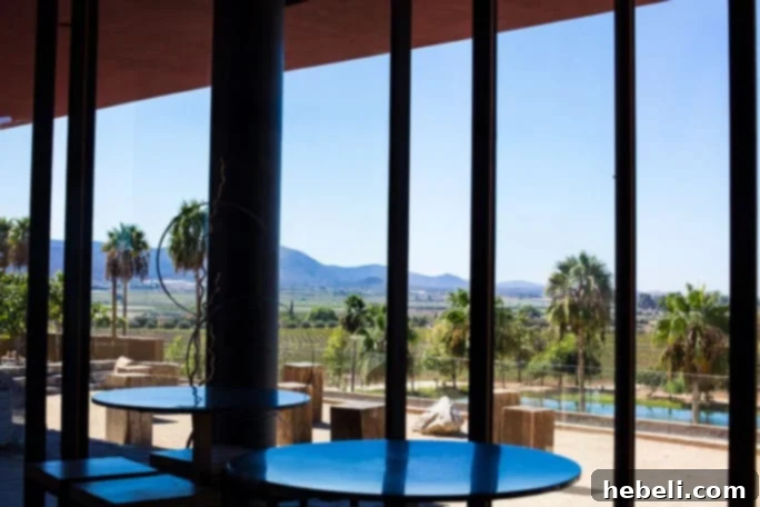 Ruby Princess Cruise Wine Excursion in Ensenada Mexico, showing a glass of wine against the backdrop of the valley.