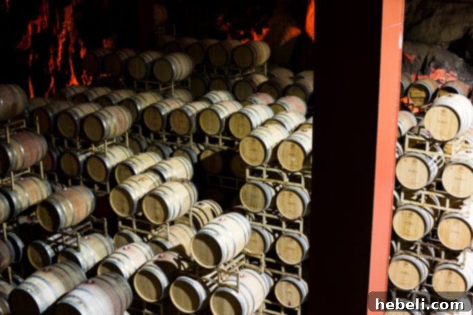 Ruby Princess Cruise Wine Excursion in Mexico, featuring a large number of wine barrels in the cellar.