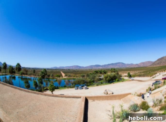 Princess Ruby Wine Excursion at Monte Xanic Winery in Ensenada Mexico, showing scenic views and luxurious setting.