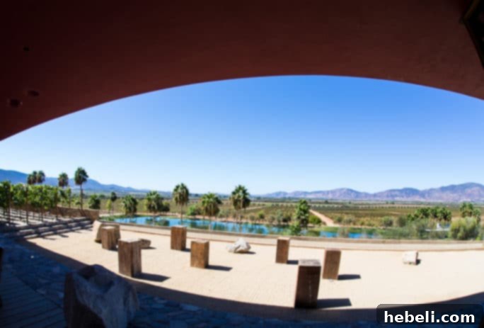 Ruby Princess Wine Excursion at Monte Xanic Winery in Ensenada Mexico, showcasing modern architecture blending with nature.