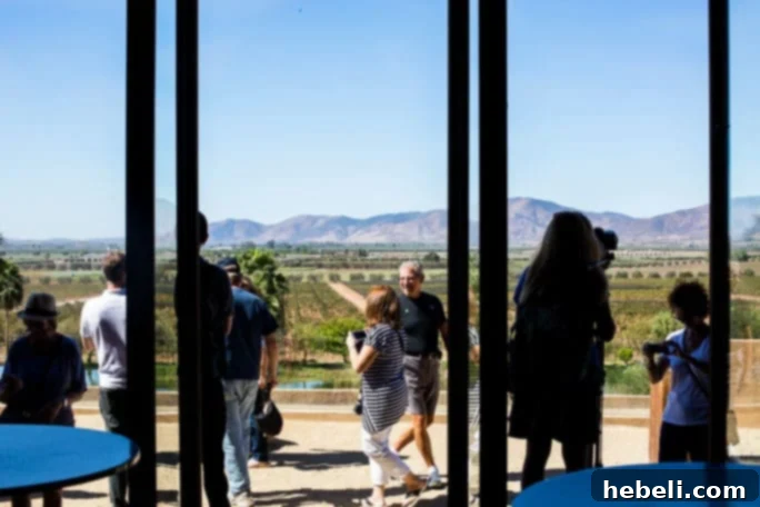 Ruby Princess Cruise Wine Excursion, emphasizing the modern and minimalist architecture of Monte Xanic.