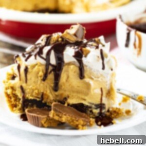 A top-down view of a completed Peanut Butter Pie, showing a beautifully drizzled chocolate topping over whipped cream and scattered peanut butter cups.