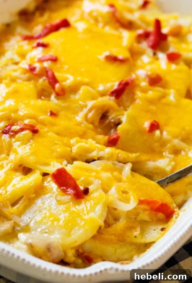 Velvety Pimento Cheese Potatoes 5 Baked Pimento Cheese Potato Gratin with melted cheese and pimentos