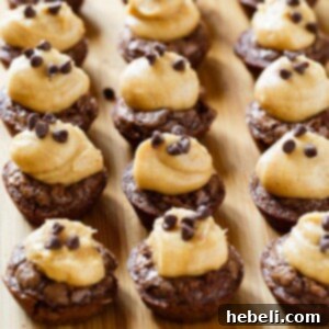 Decadent Peanut Butter Brownie Bites 6 Peanut Butter Brownie Cups