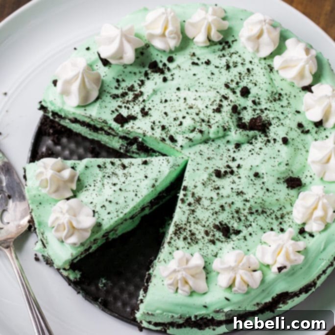 A perfectly portioned slice of No-Bake Grasshopper Cheesecake garnished with mint leaves and chocolate shavings on a plate