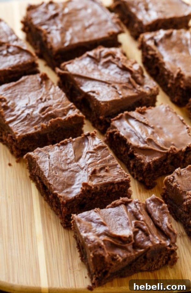 Close-up of a fudgy Lunch Lady Brownie slice
