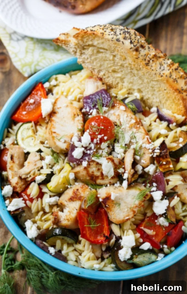 Serving of Orzo Pasta Salad with Chicken and Roasted Vegetables