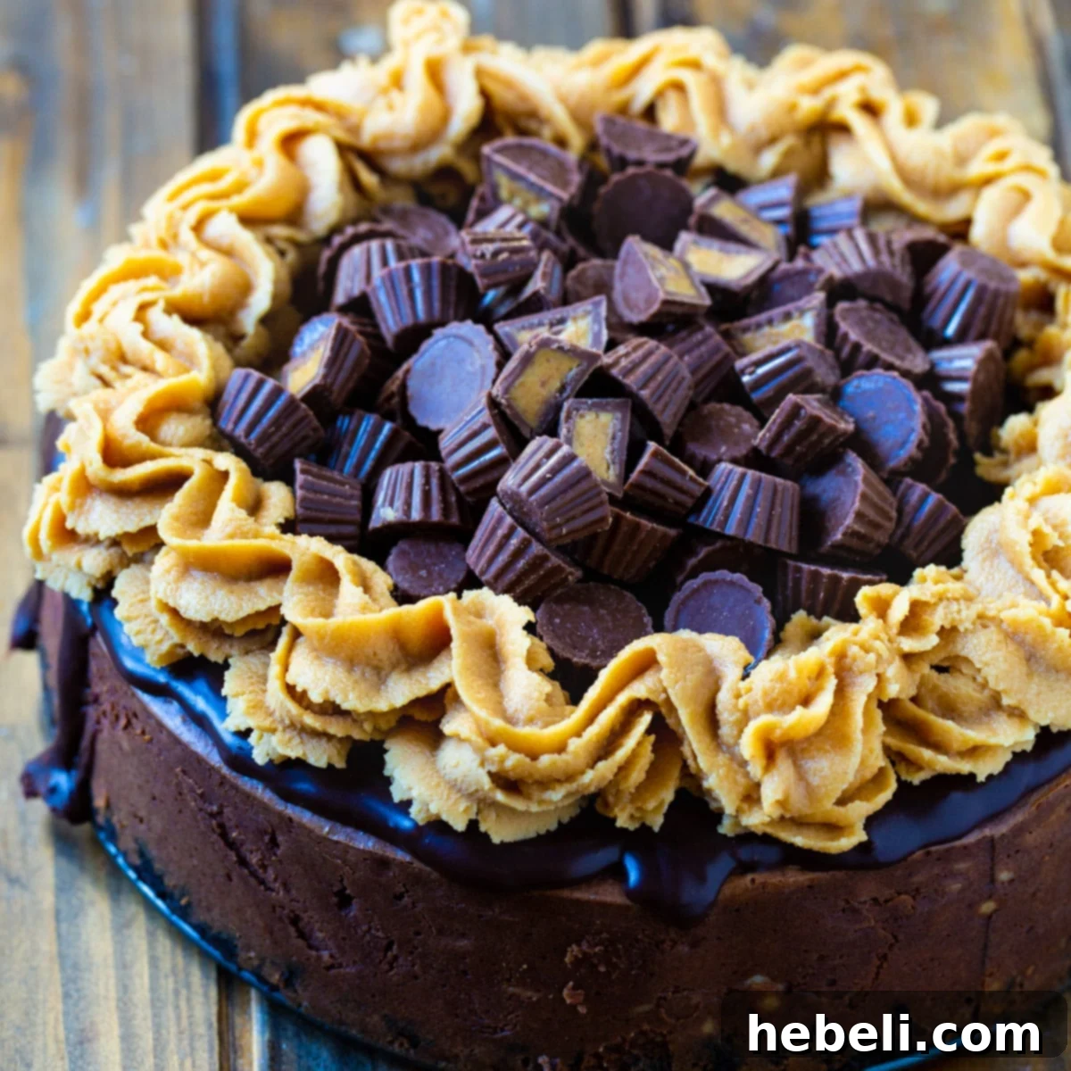 Decadent Chocolate Peanut Butter Cup Cheesecake 2 Whole Chocolate Peanut Butter Cup Cheesecake covered with mini peanut butter cups, showcasing its rich texture and irresistible toppings.