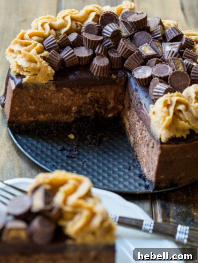 Decadent Chocolate Peanut Butter Cup Cheesecake 5 Close-up of the Chocolate Peanut Butter Cup Cheesecake, showing the piped peanut butter frosting and mini Reese's cups.