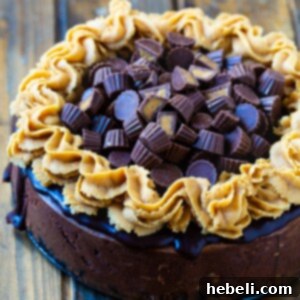 A smaller image of the whole Chocolate Peanut Butter Cup Cheesecake, decorated with mini peanut butter cups.