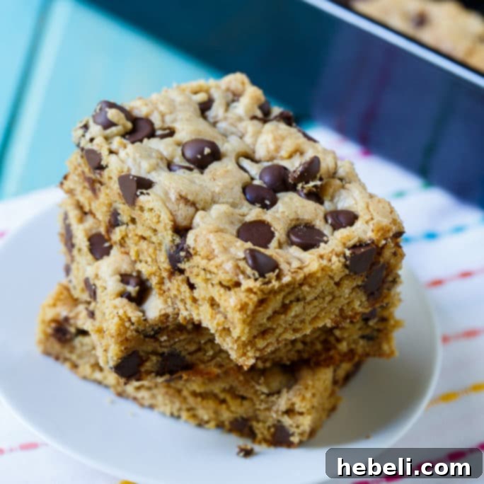 Peanut Butter Bars with Chocolate Chips - close up