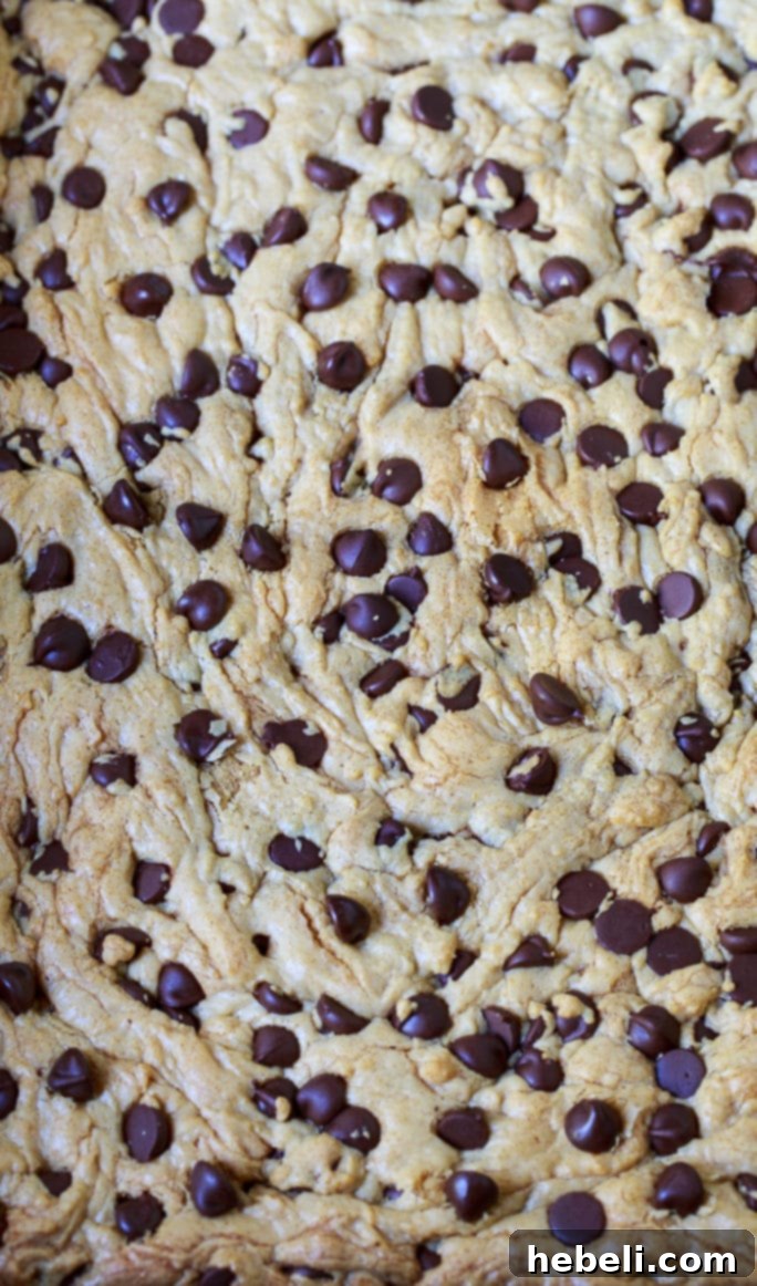 Peanut Butter Bars with Chocolate Chips on a plate