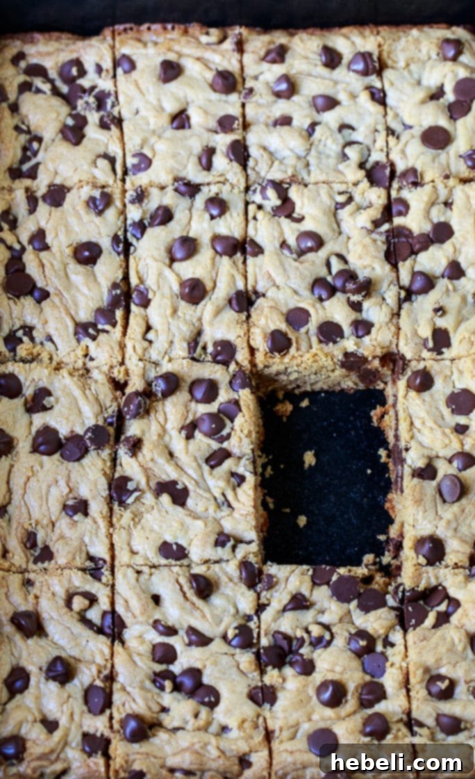 Close-up of a single Peanut Butter Bar with Chocolate Chips