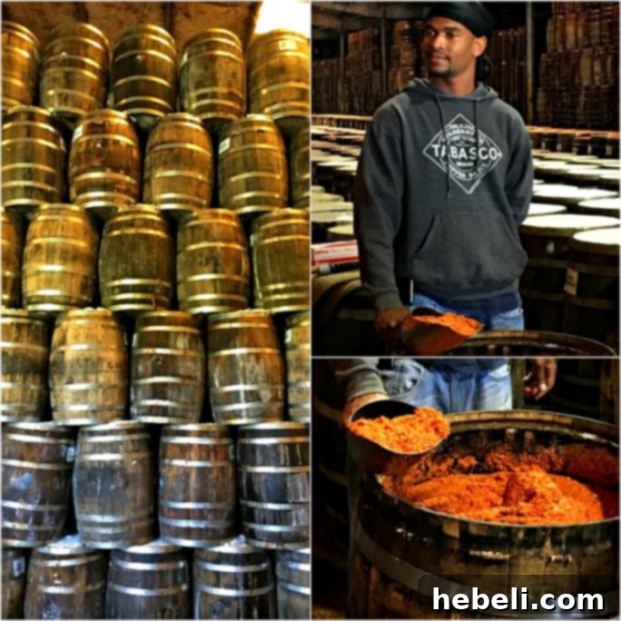 TABASCO sauce production on Avery Island