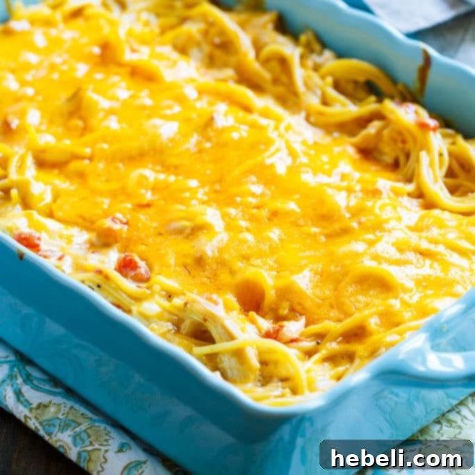 Kickin' Chicken Spaghetti 3 Close-up of Spicy Chicken Spaghetti, showcasing the rich, melted cheese and vibrant red tomatoes mixed throughout the pasta.